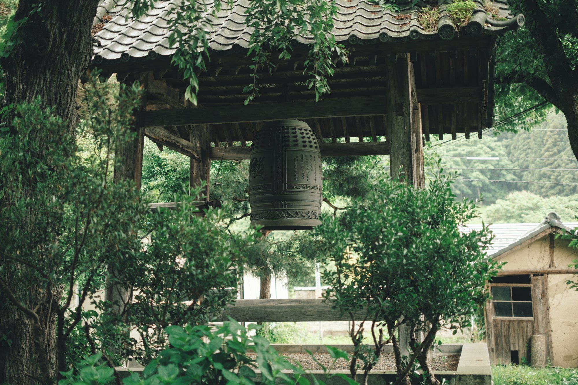 海野紀恵の本覚寺の鐘
